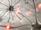 Fisioterapia nas Distrofias Neurológicas