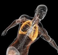 Fisioterapia no Pré-operatório