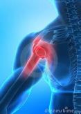 Fisioterapia em 1 Membro