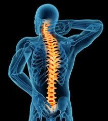 Fisioterapia na Coluna Cervical e Lombar