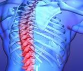 Fisioterapia na Coluna Cervical e Torácica