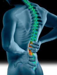 Fisioterapia na Coluna Lombar