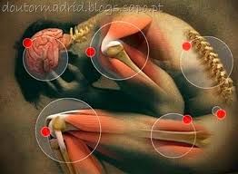 Fisioterapia em 3 Membros