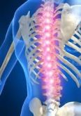Fisioterapia na Coluna Cervical, Torácica e Lombar
